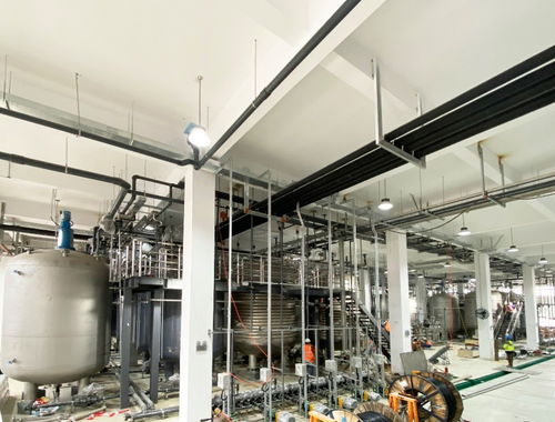 國產(chǎn)NMN“不老藥”概念再掀熱潮 寧波百噸工廠試產(chǎn)成功，惠及80萬人，或成網(wǎng)絡游戲開發(fā)新藍海